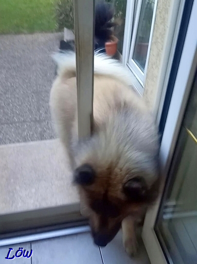 22.6.2025 - Geschafft